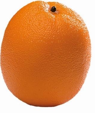 LARANJA DECORATIVA AC