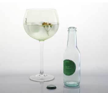 CJ.24 GARRAFA GIN TONICO 200ML