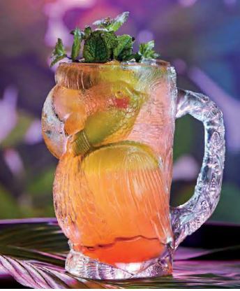 CANECA CERVEJA 90CL PARROT