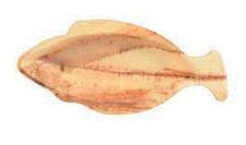 CJ.25 PRATO PEIXE 12CM FOLHA PALMEIRA