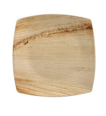 CJ.25 PRATO 15X15CM FOLHA PALMEIRA